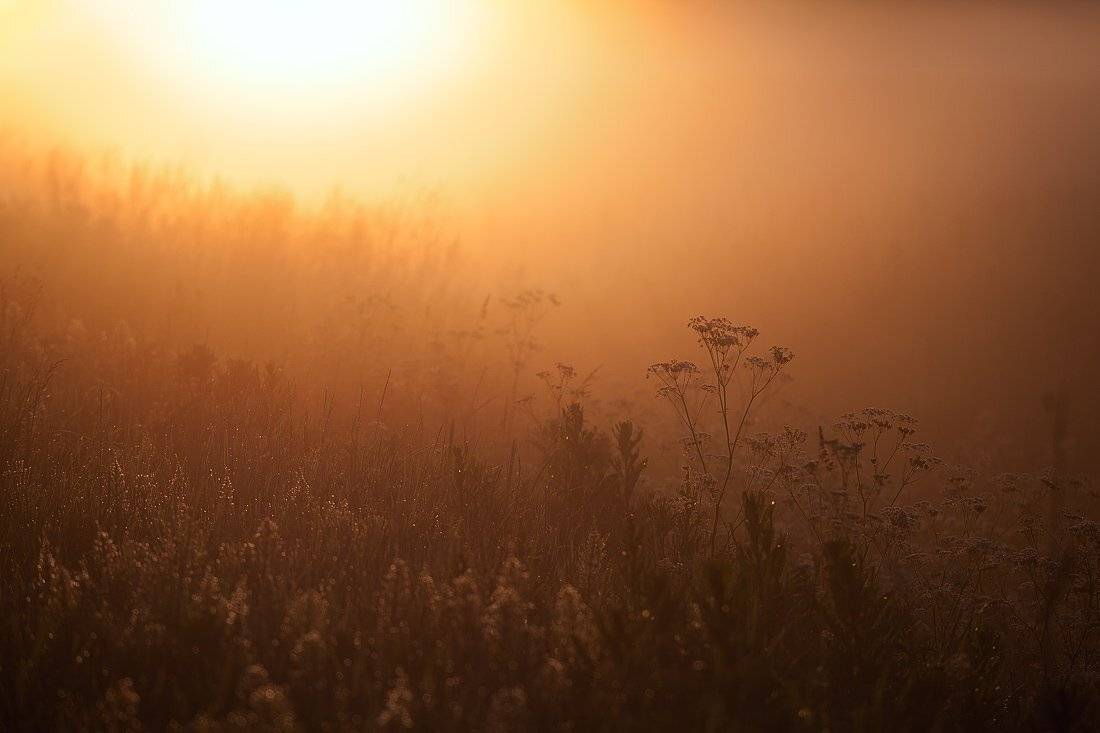 , Олег Козлов