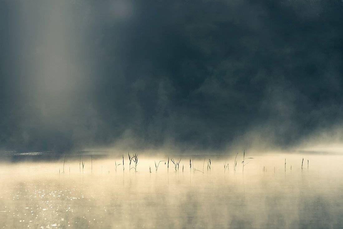 , Rimantas Bikulcius