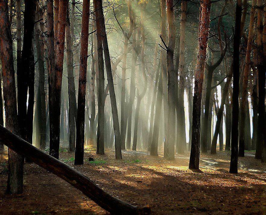 , Валерий Смирнов