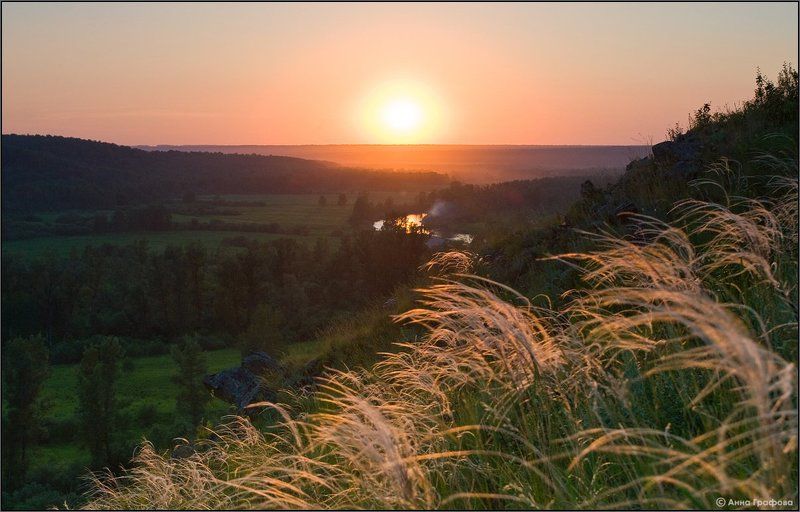аня графова, салаирский кряж, иванов пуп, зверобой, река, бердь, новососедово, малиновка, нсо  фото превью