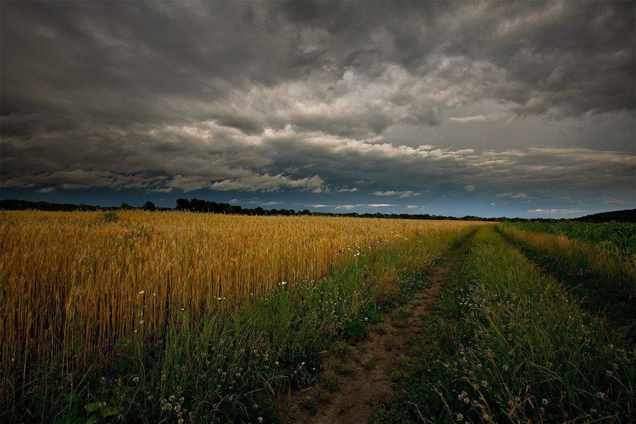 , Петр Антонович