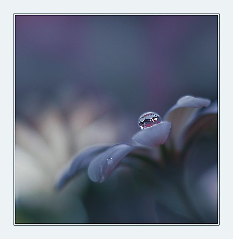 Juliana Nan