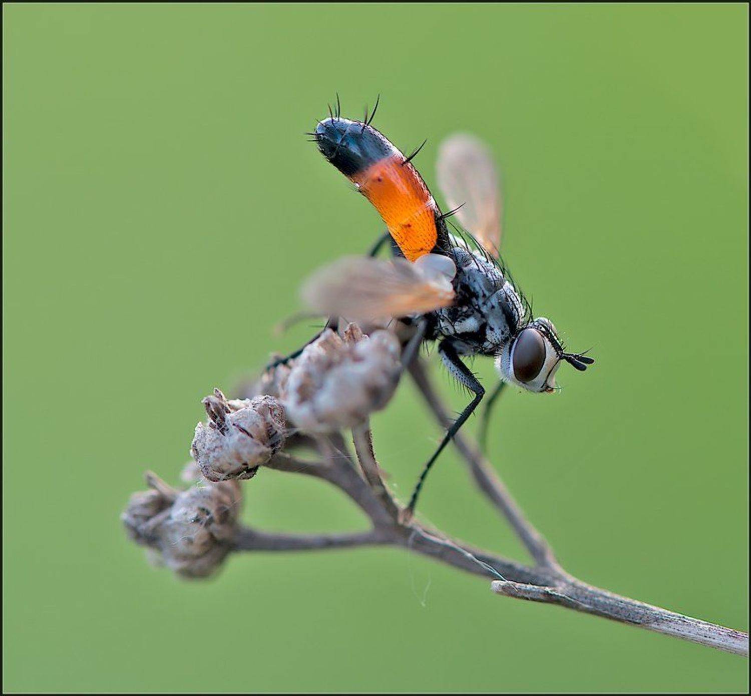 , Евгений Кирилкин.
