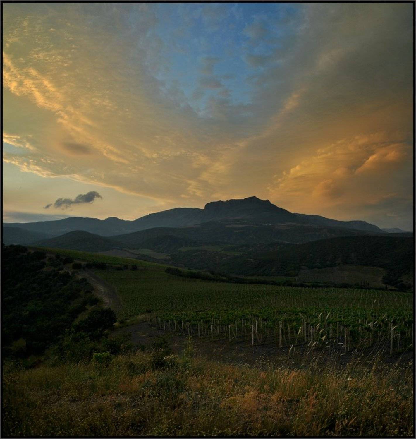 , Владимир Метцгер