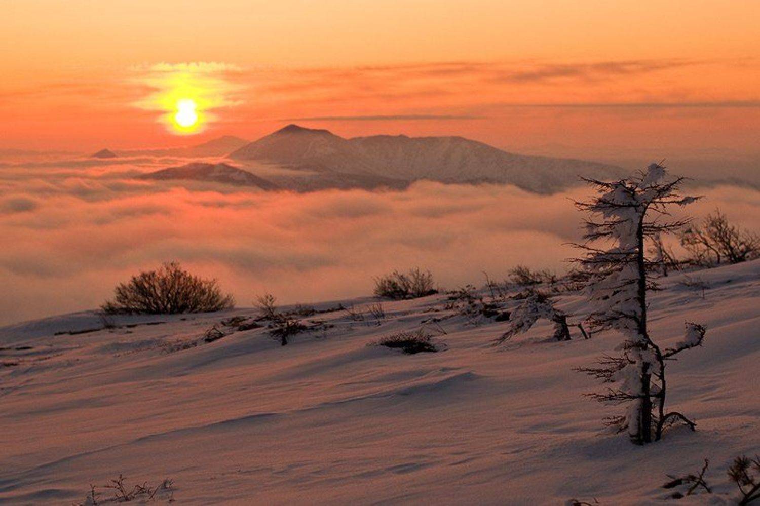 , Иван Кислов