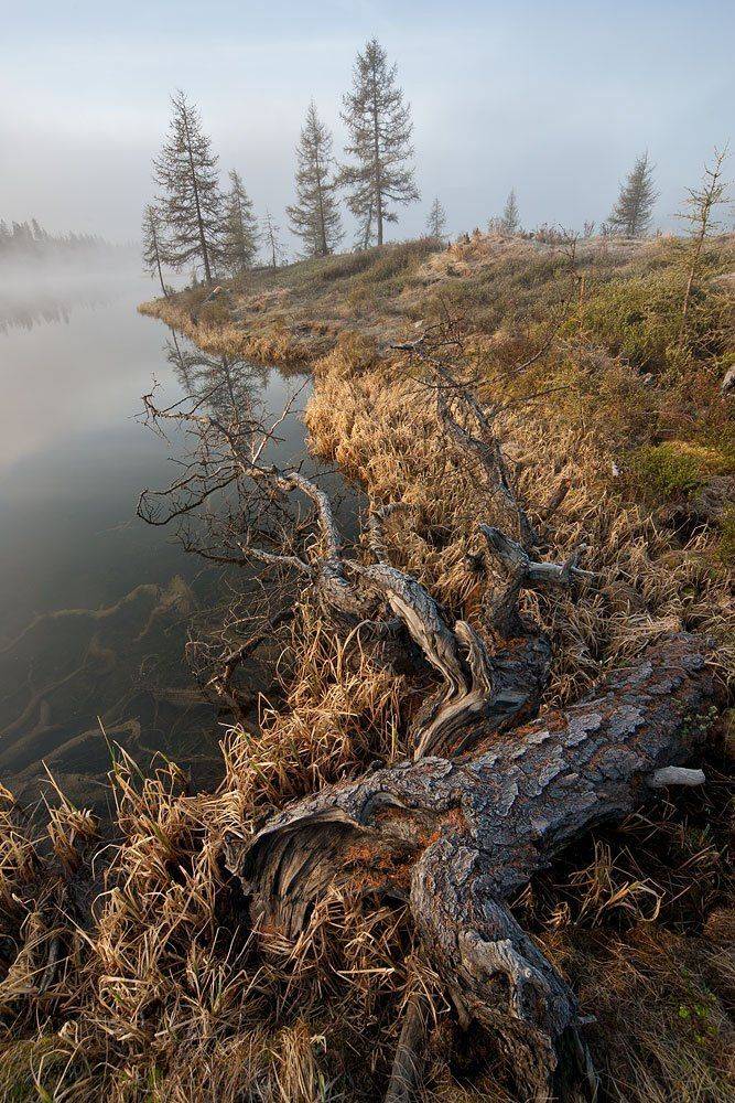 , Владимир Сковородников