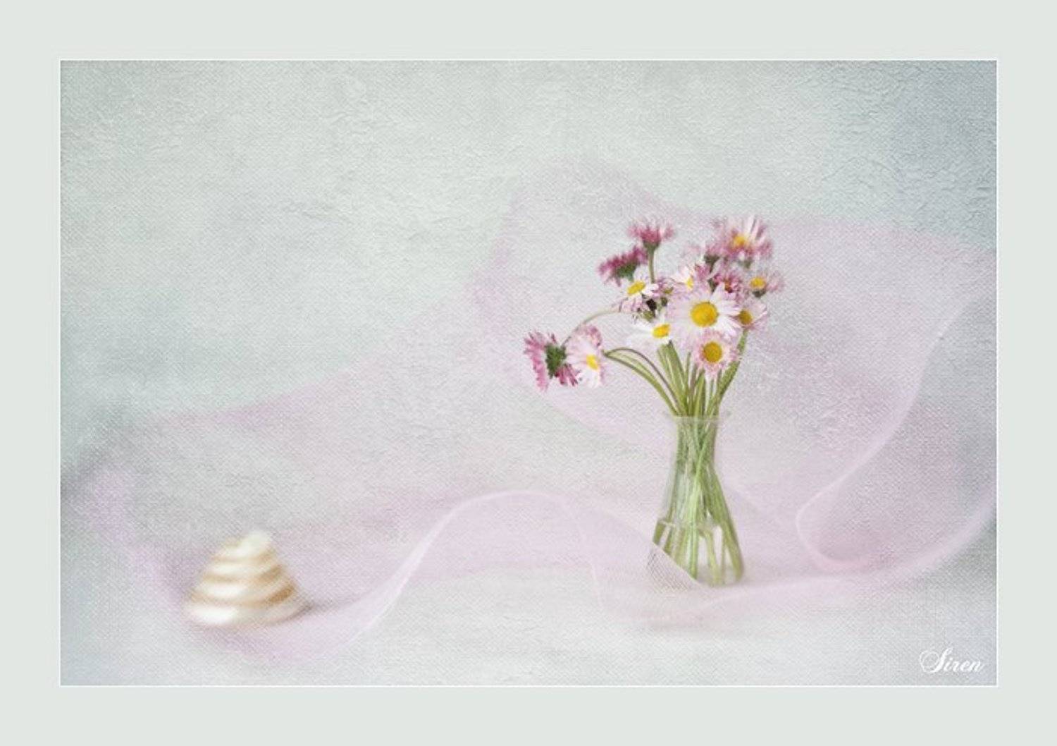 , Siren (Анна Беркоз)