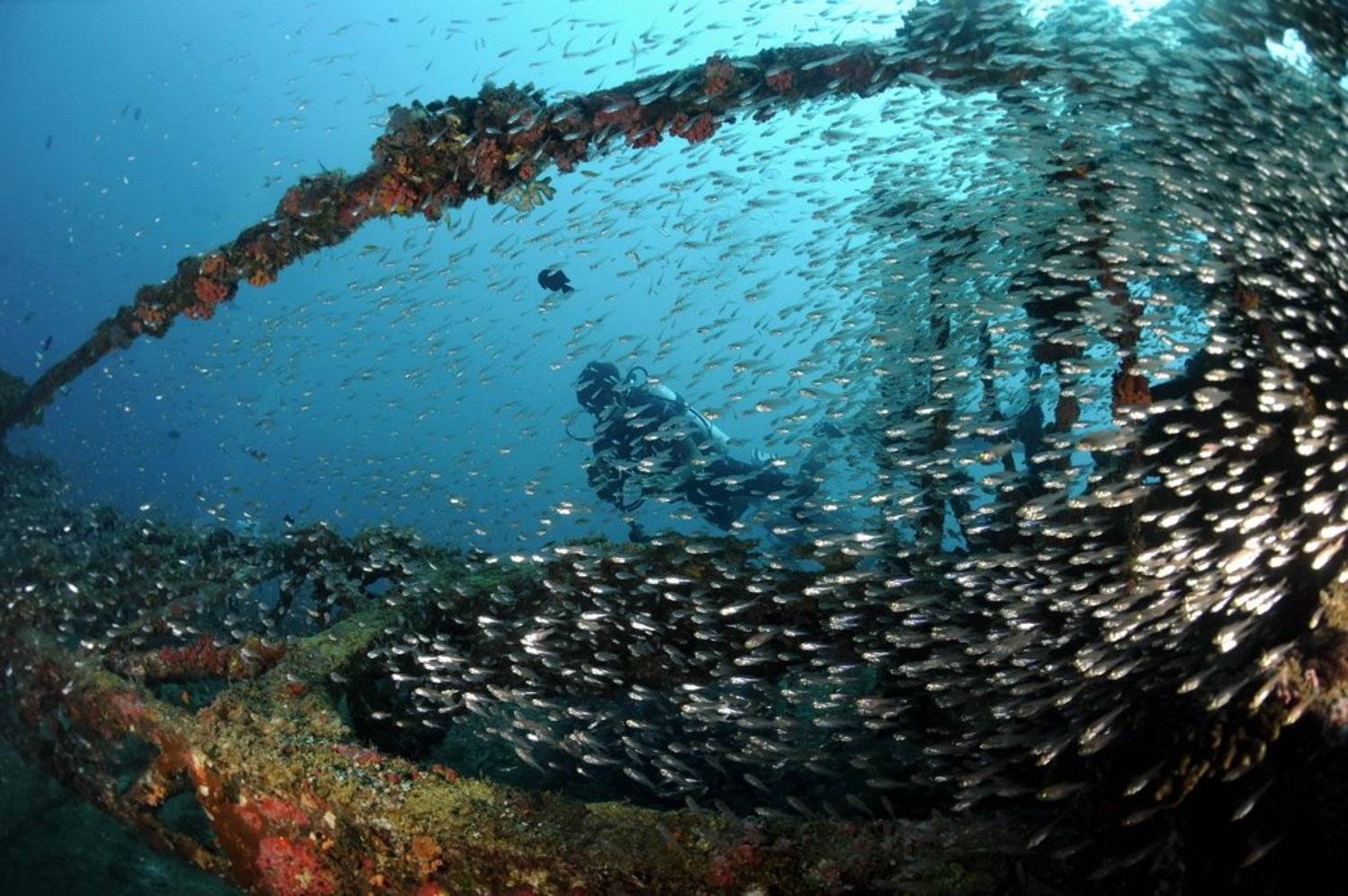 , Сергей Шевчук