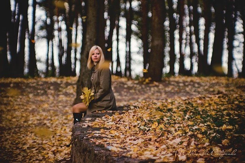 Тишина опавших листьев фото превью