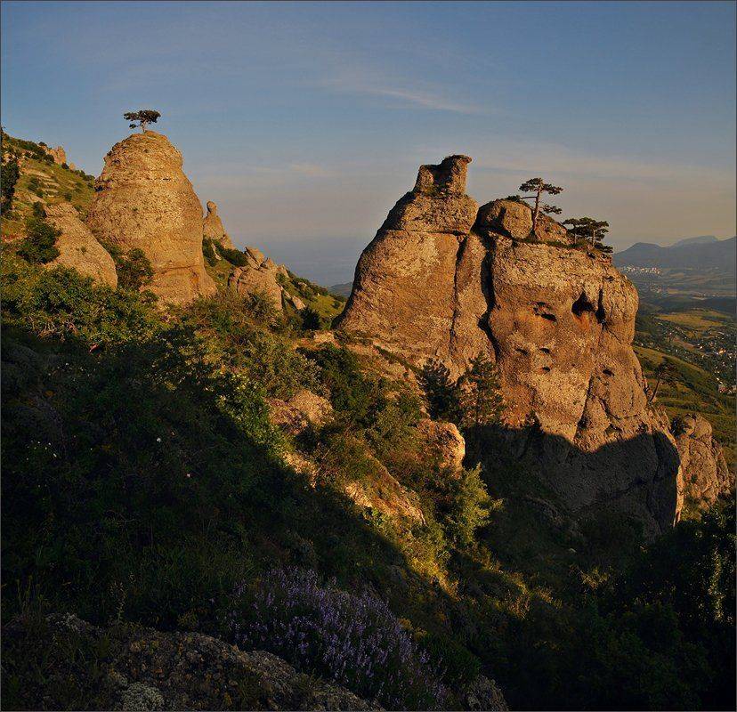 , Владимир Метцгер