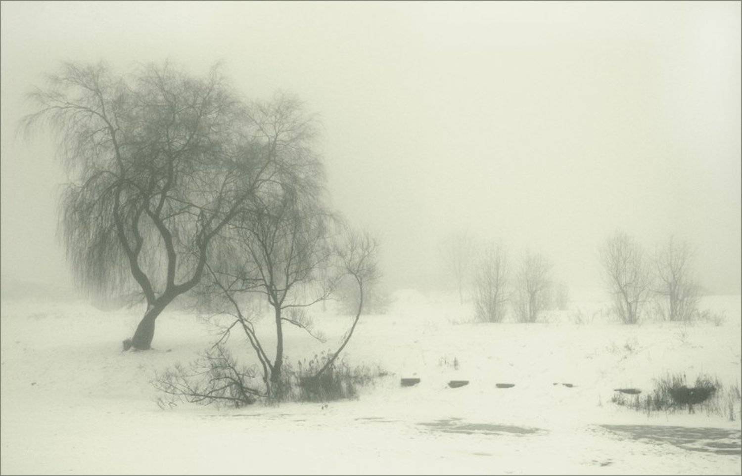 туман, зима, Елена Сергеенко