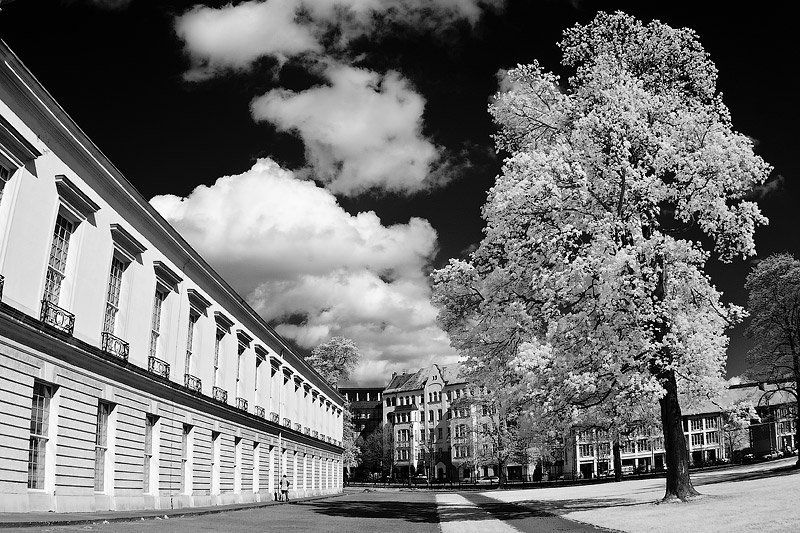 замок, парк, берлен, германия, ик, ir  фото превью