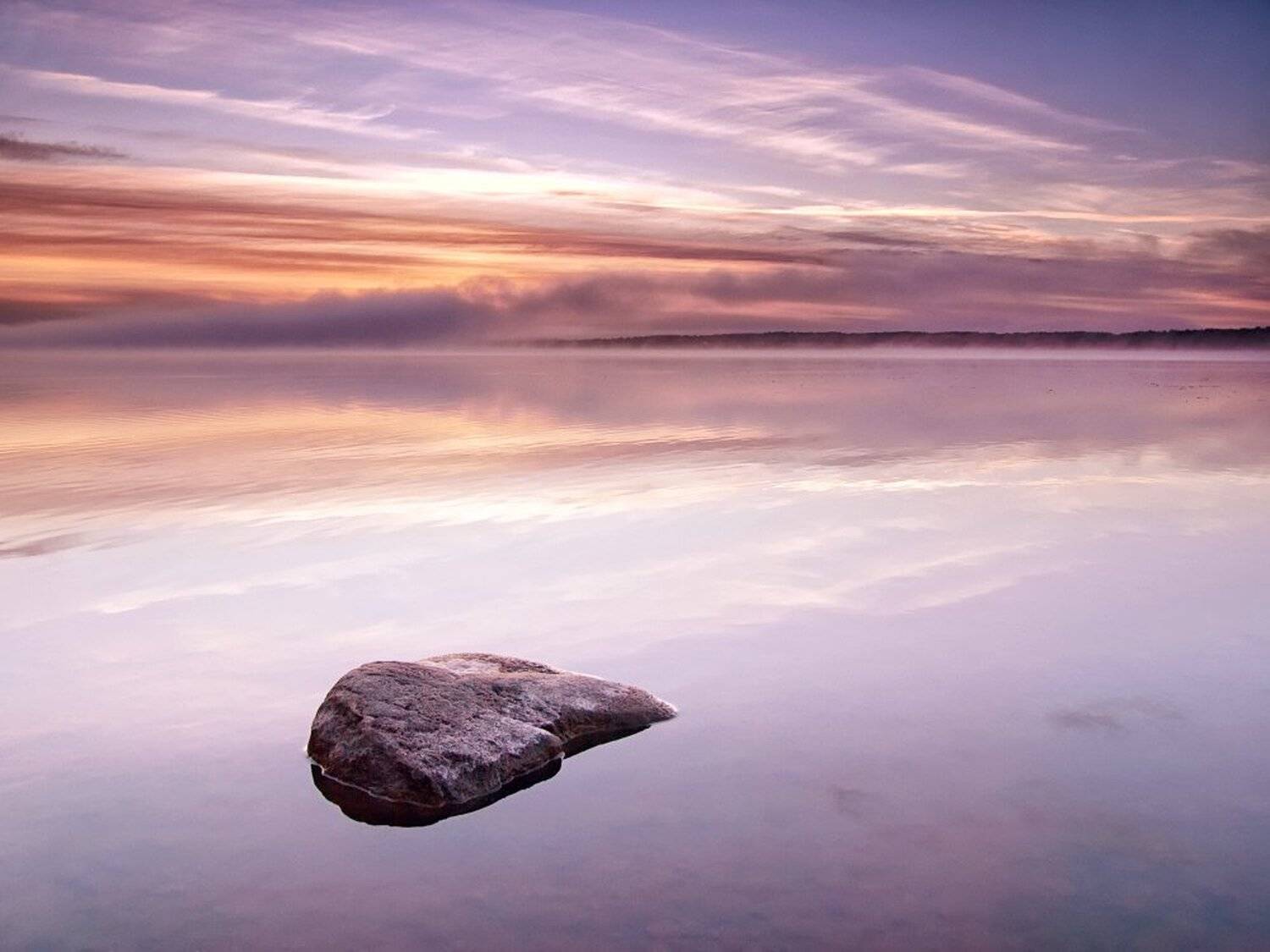 , Максим Евдокимов