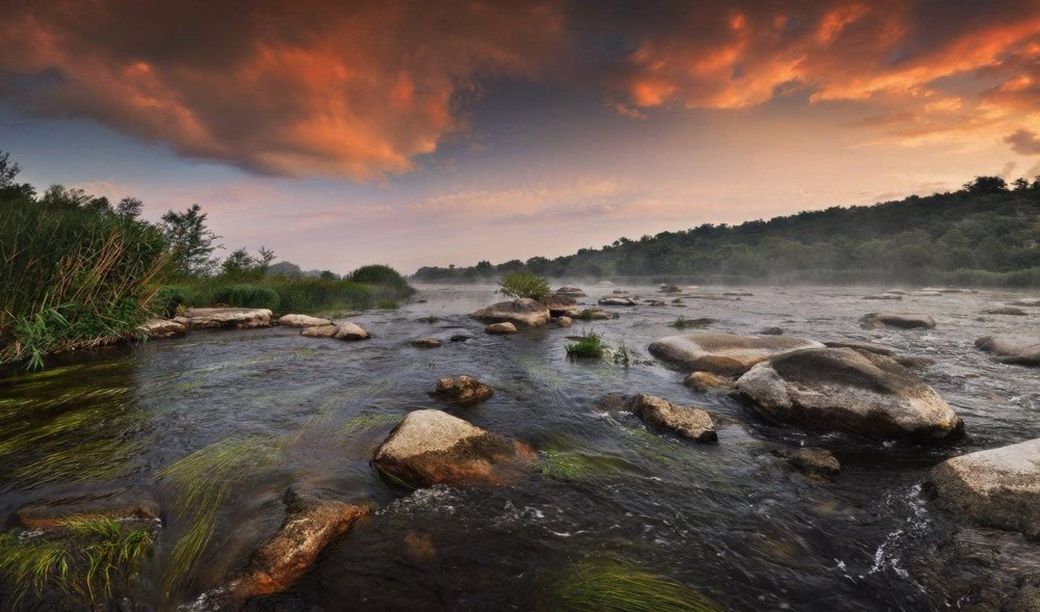 , Денис Кривой