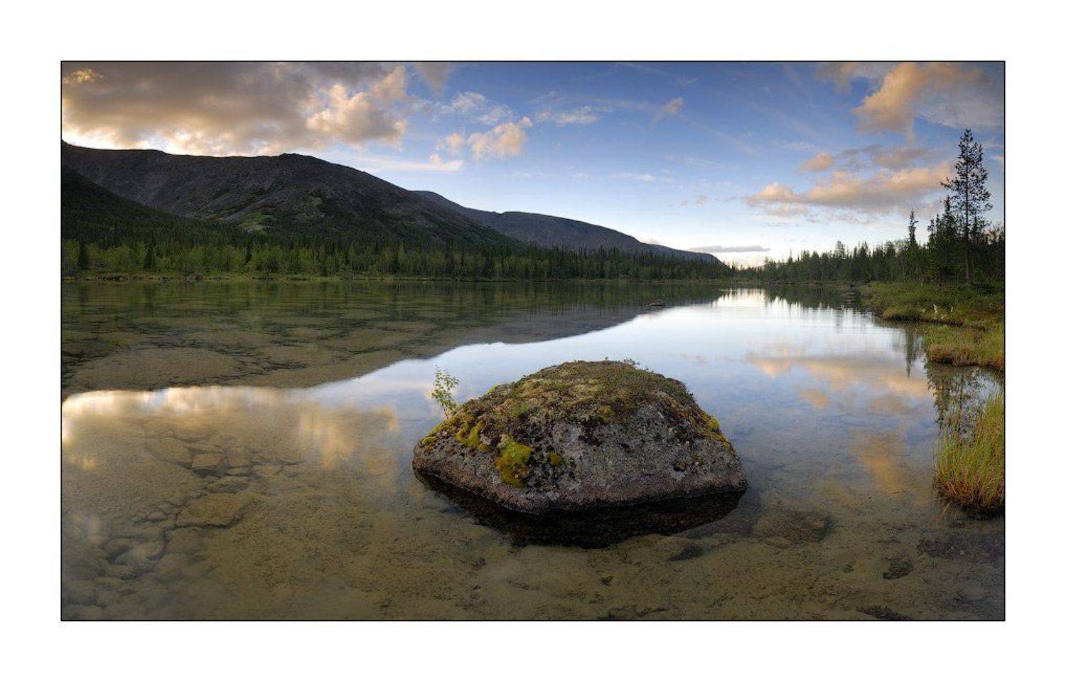 , Дмитрий Лялин