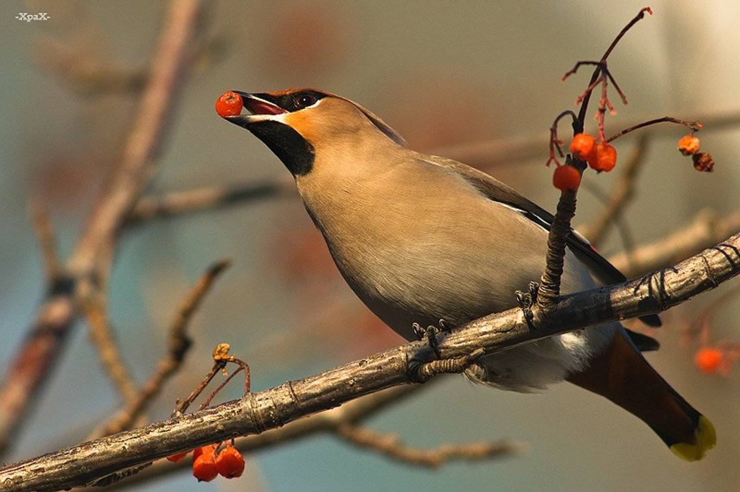 , Иван Кислов