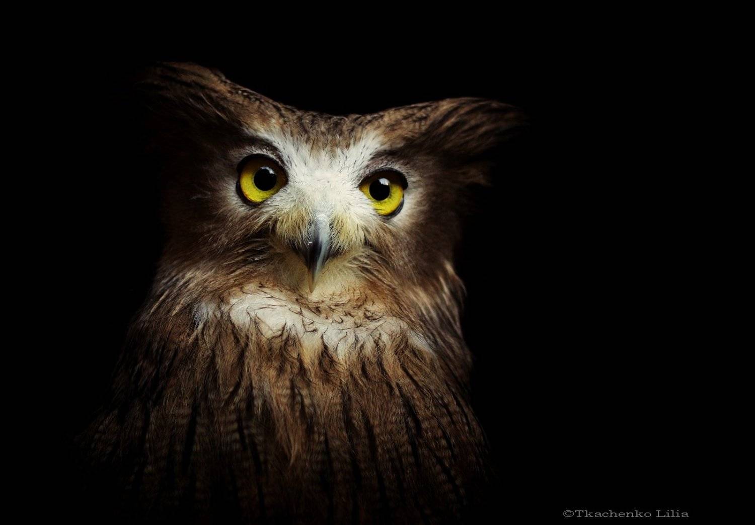 , Lilia Tkachenko