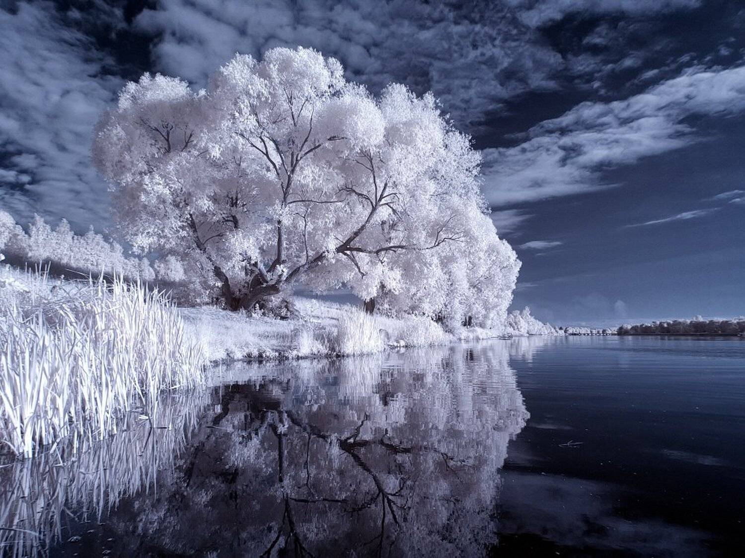 , Максим Евдокимов