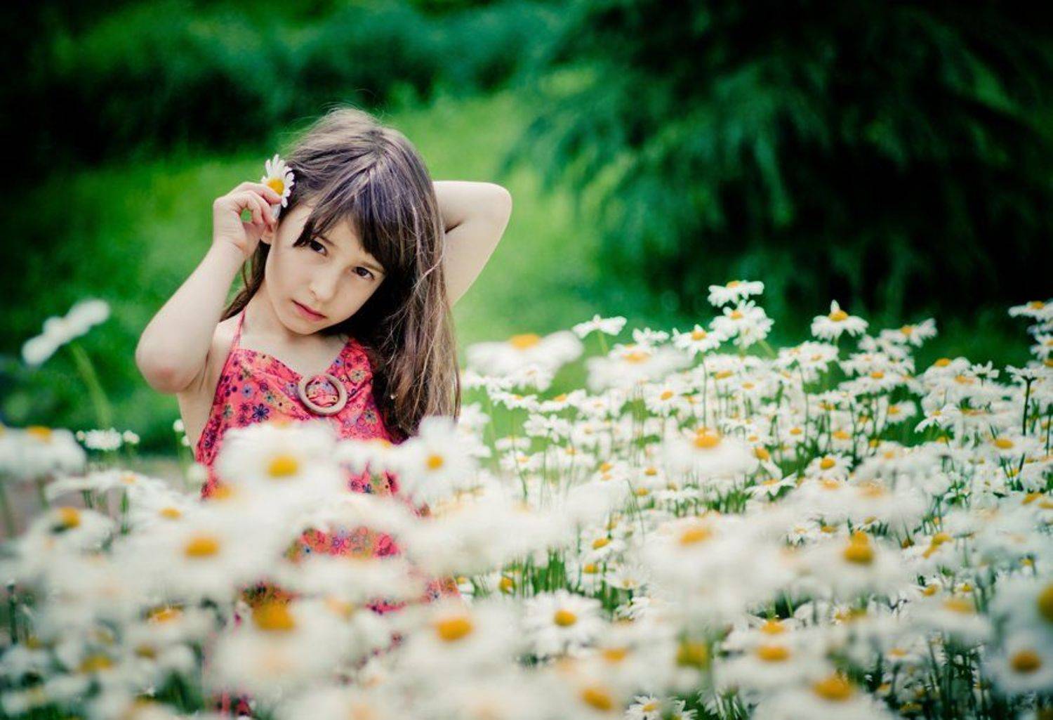 , Svetlana Bekyarova