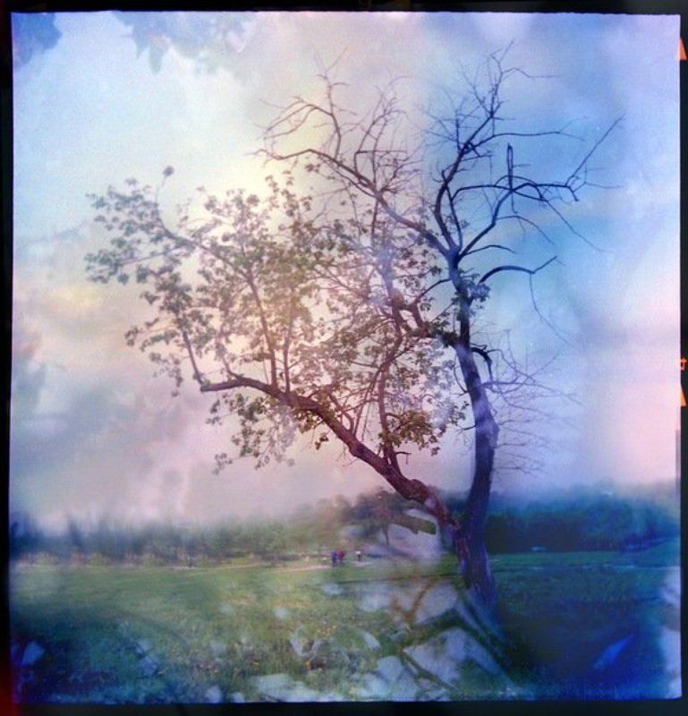 фото превью