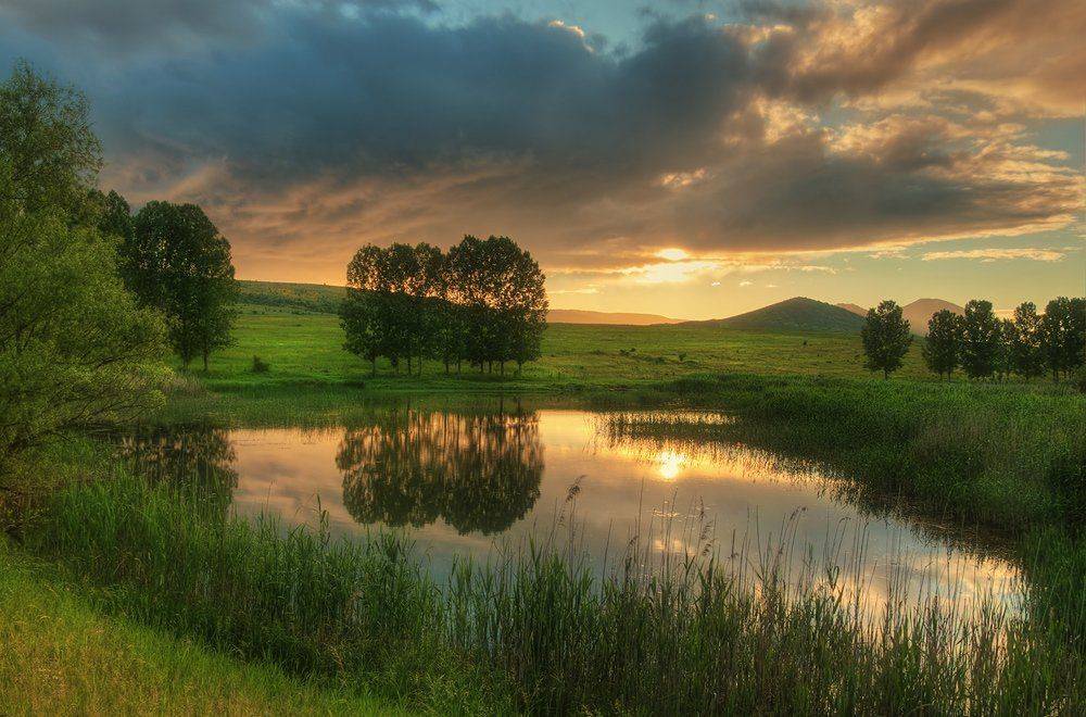 , Philip Peynerdjiev