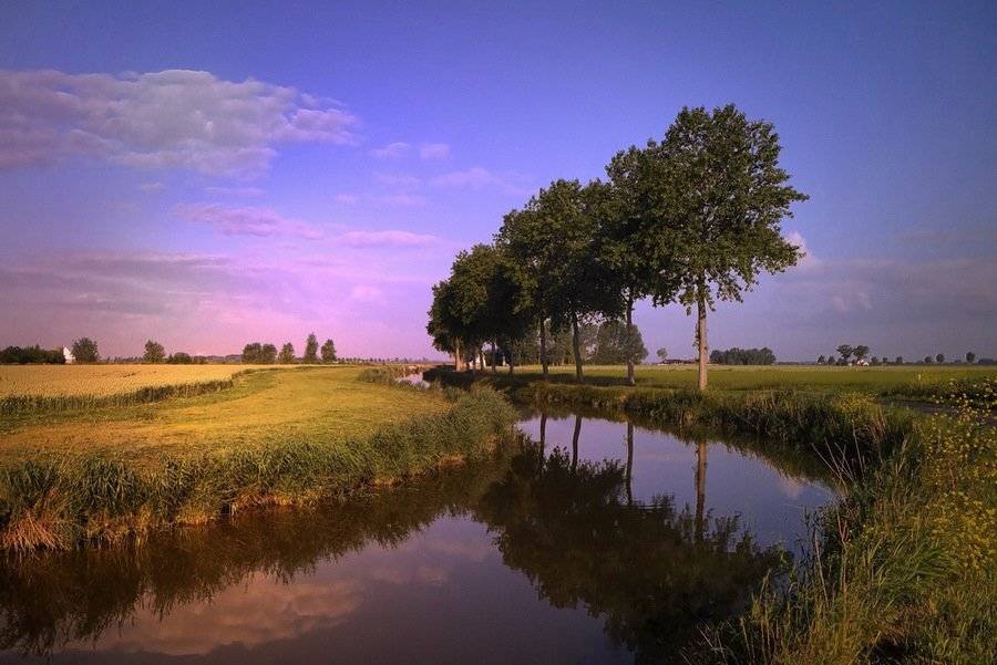 , Johny Hemelsoen