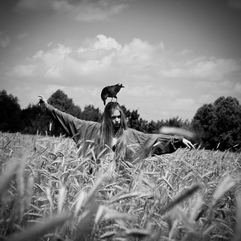 фото превью