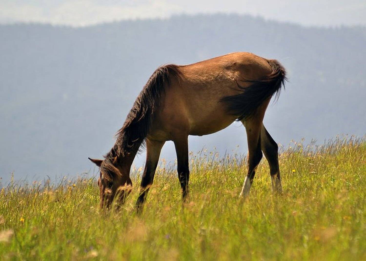 , Дмитрий Мартынюк