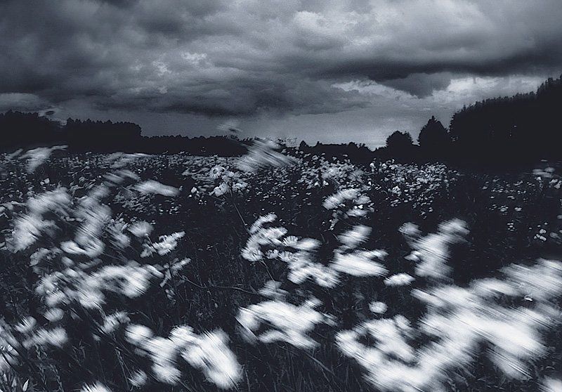 ветер  фото превью