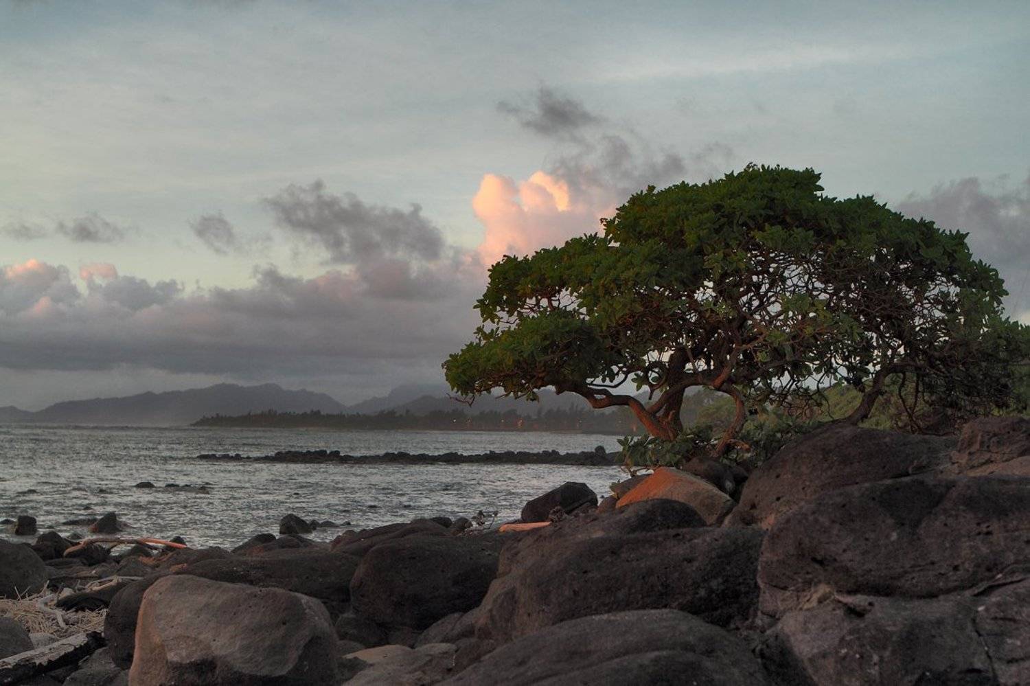 станко, пейзаж, kauai, hawaii, Андрей Станко