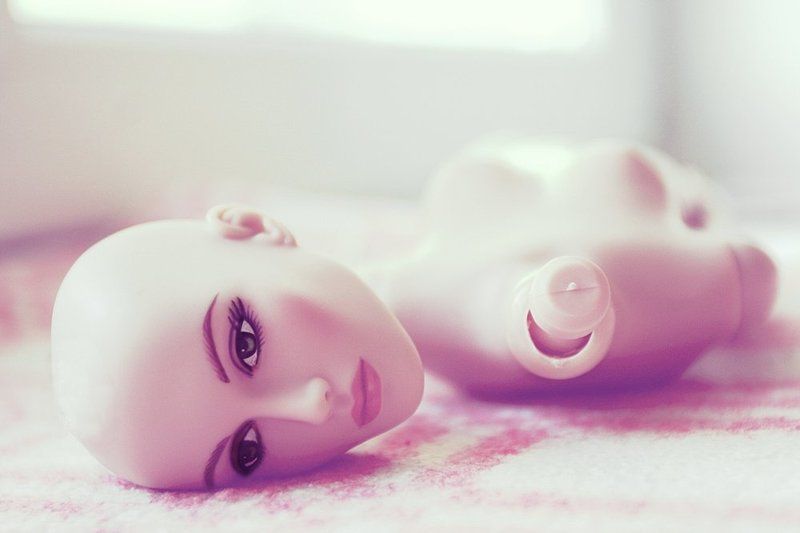 13cat  фото превью