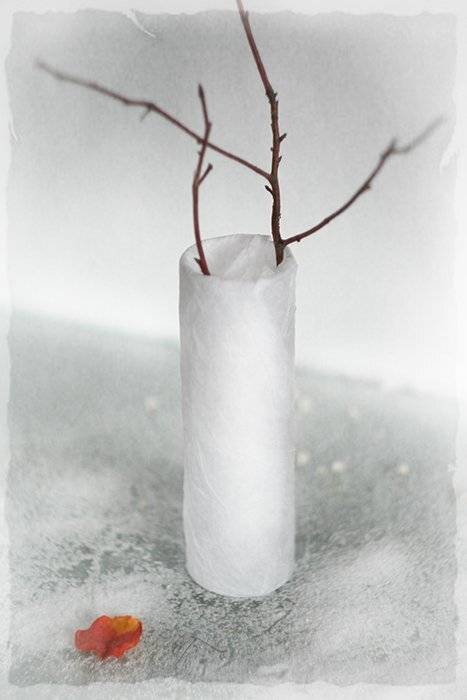 , Svoboda Andreeva