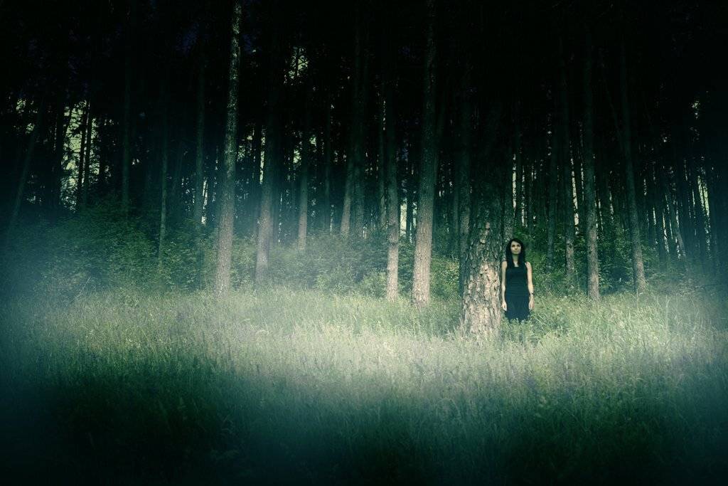 , Андреев Антон