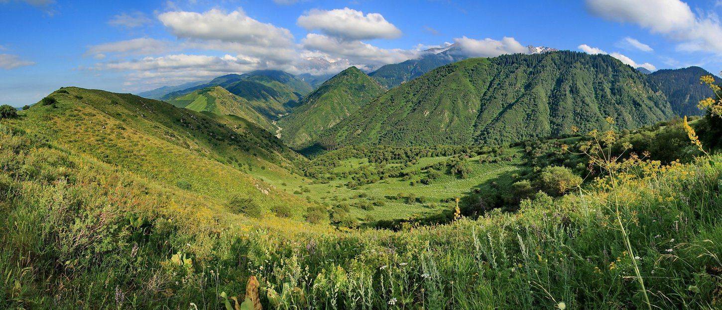 панорама 6 кадров, талгарское ущелье, Sergio