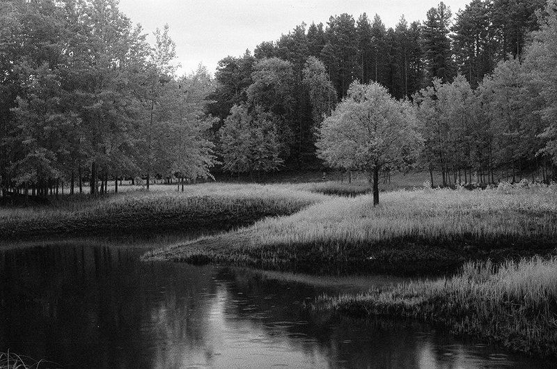 , ilford sfx  фото превью