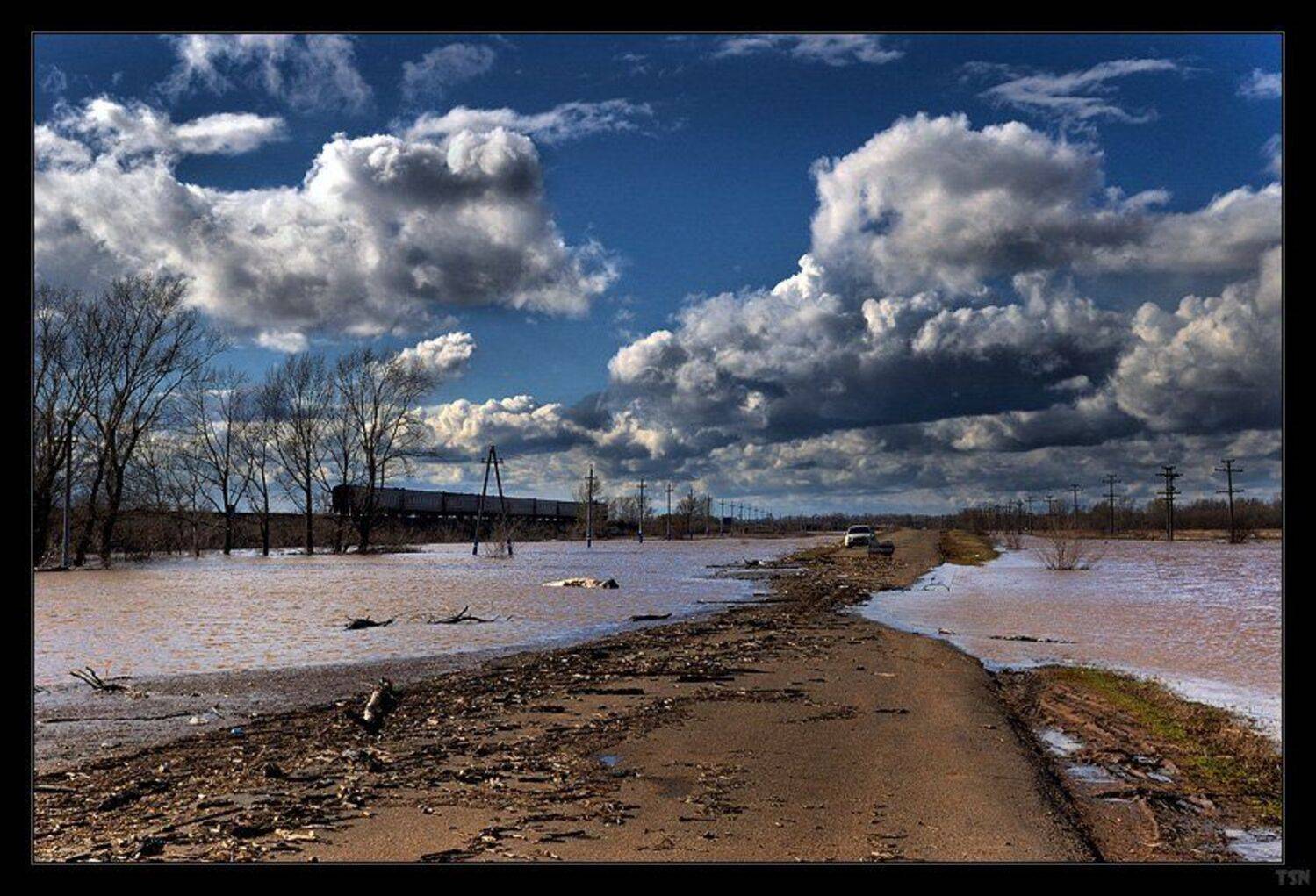 , Сергей Требунских