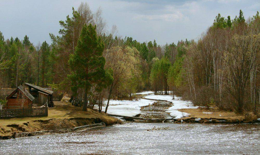 весна, цветёт, верба, река, Николай Морский