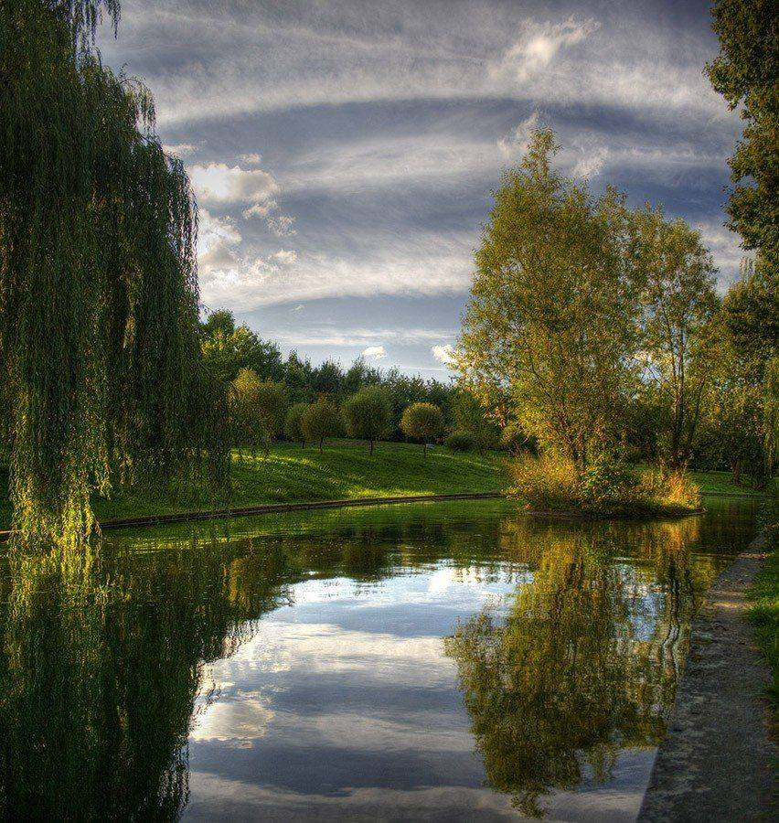 осень, река, остров, деревья, свислочь, минск, Dmitry Apalikov