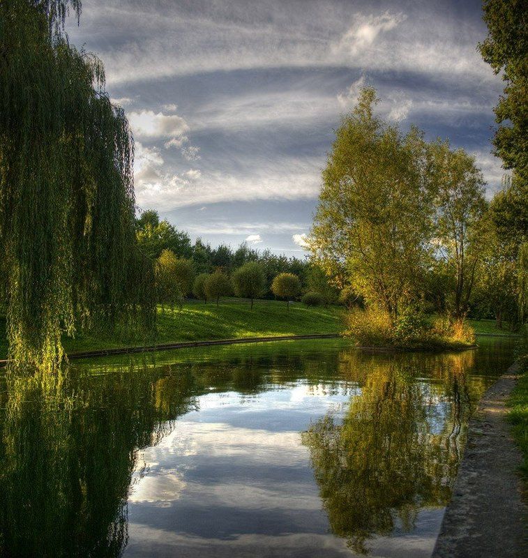 осень, река, остров, деревья, свислочь, минск  фото превью