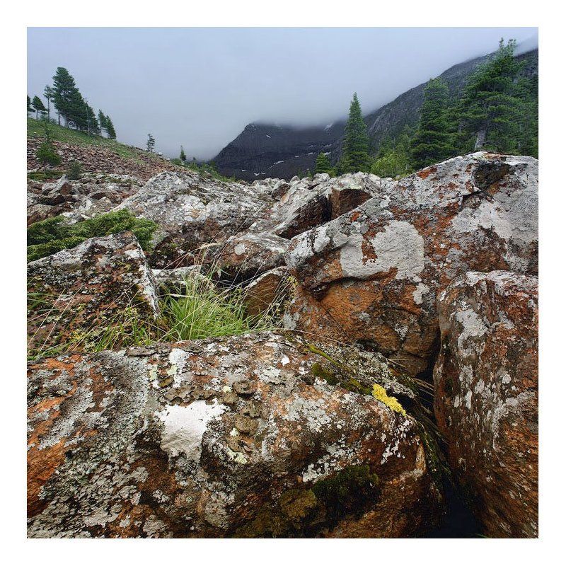 западный саян, борус,   фото превью