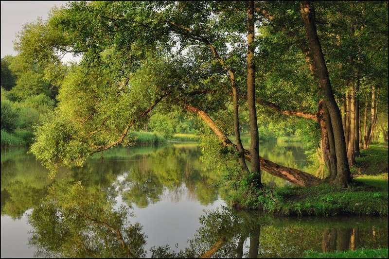 лето, река, свислочь, вечер  фото превью