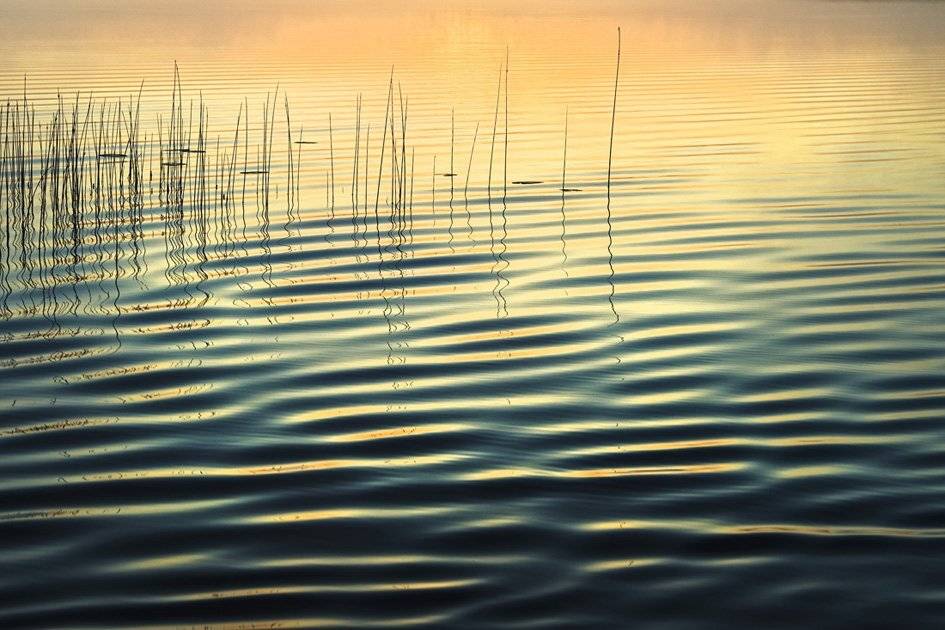 , Rimantas Bikulcius