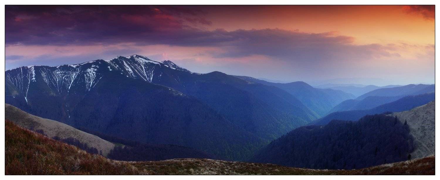 , Денис Кривой