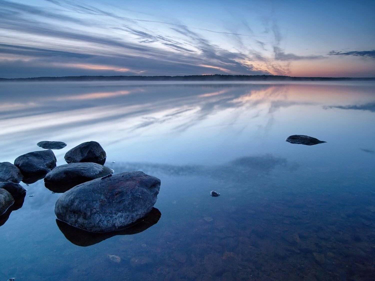 , Максим Евдокимов