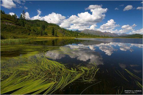 Алтайское фотосафари (I)