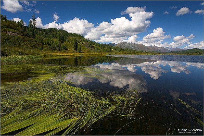 природа, казахстан, алтай, altay, kazakhstan, safari, photo Алтайское фотосафари (I) фото превью
