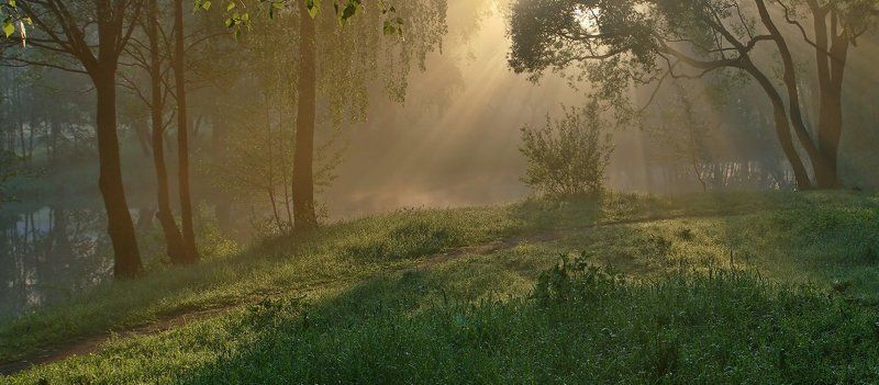 ...утренние нюансы...2 фото превью