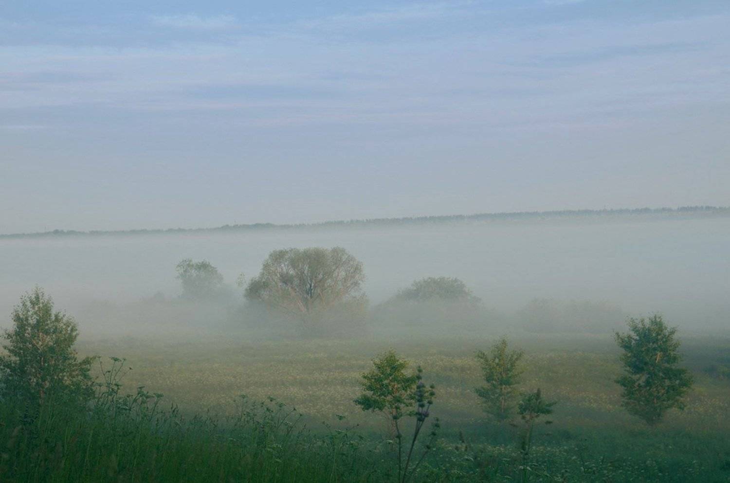 , Евгений strannik521