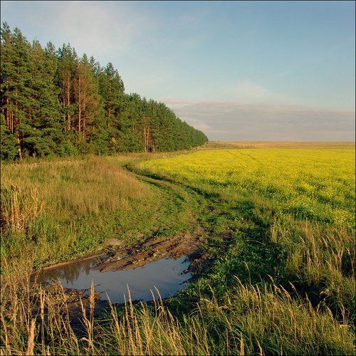 Сельский мотив