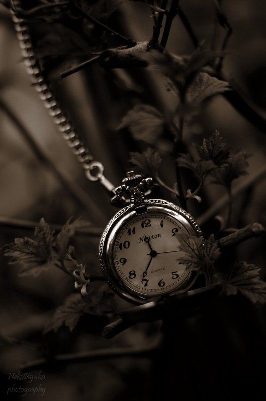 watch, pocket, watches, old, старинные, карманные, часы, растения, plants  фото превью